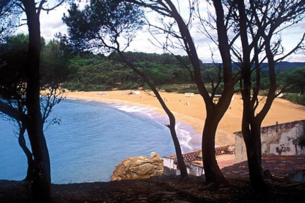 Calma S'Alguer Luxury Beach Apartment Palamos Exterior photo